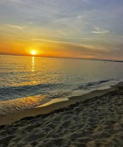 La Terra Dei Sogni *
